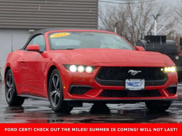 Certified 2025 Ford Mustang Premium RWD image 3