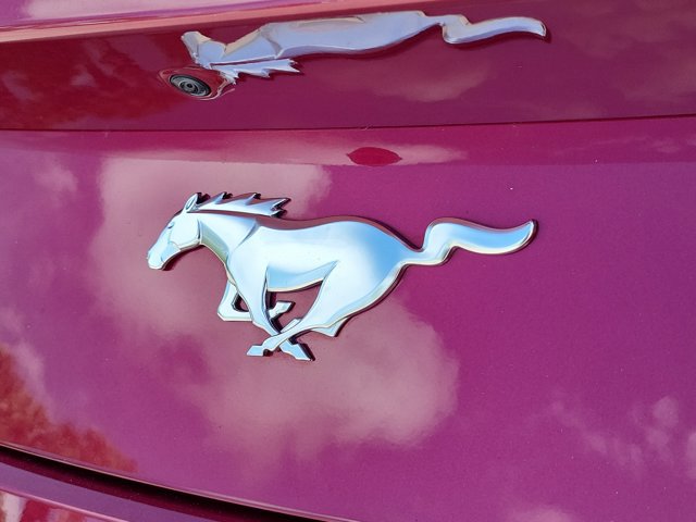 Certified 2025 Ford Mustang Coupe RWD image 8