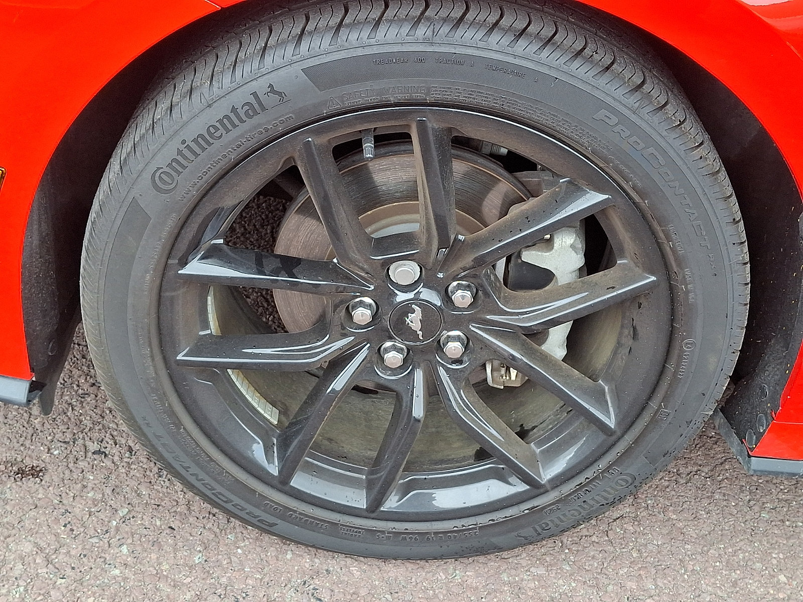Certified 2024 Ford Mustang Premium RWD image 28