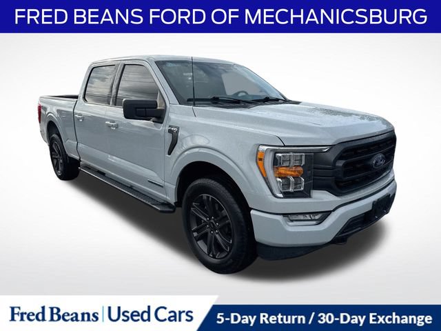 Certified 2023 Ford F150 XLT w/ Equipment Group 302A High AWD/4WD image 1