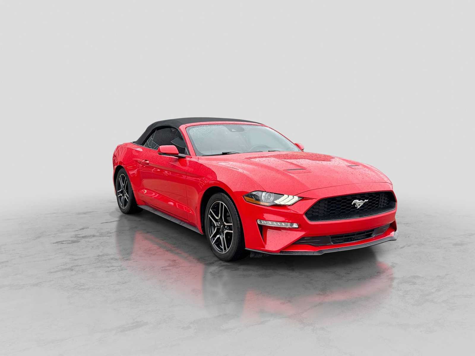 Certified 2019 Ford Mustang Premium w/ Equipment Group 201A RWD image 8