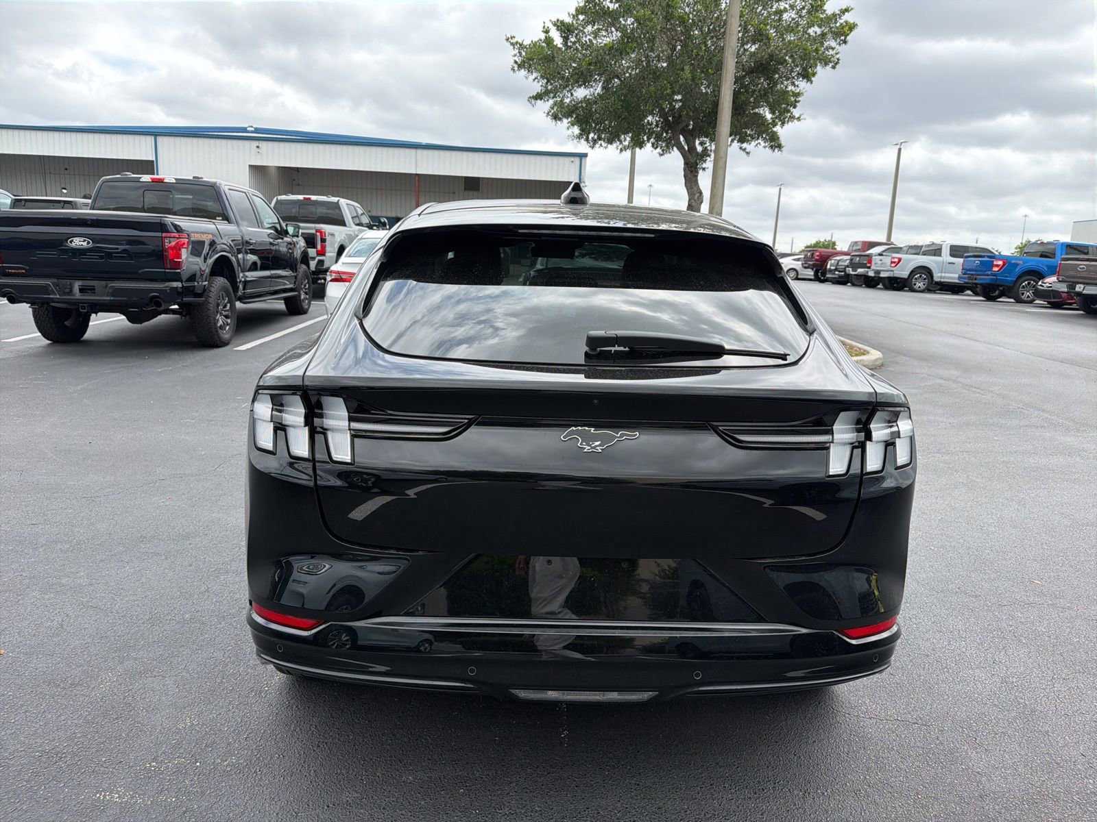 Certified 2025 Ford Mustang Mach-E Premium w/ Sport Appearance Package RWD image 6