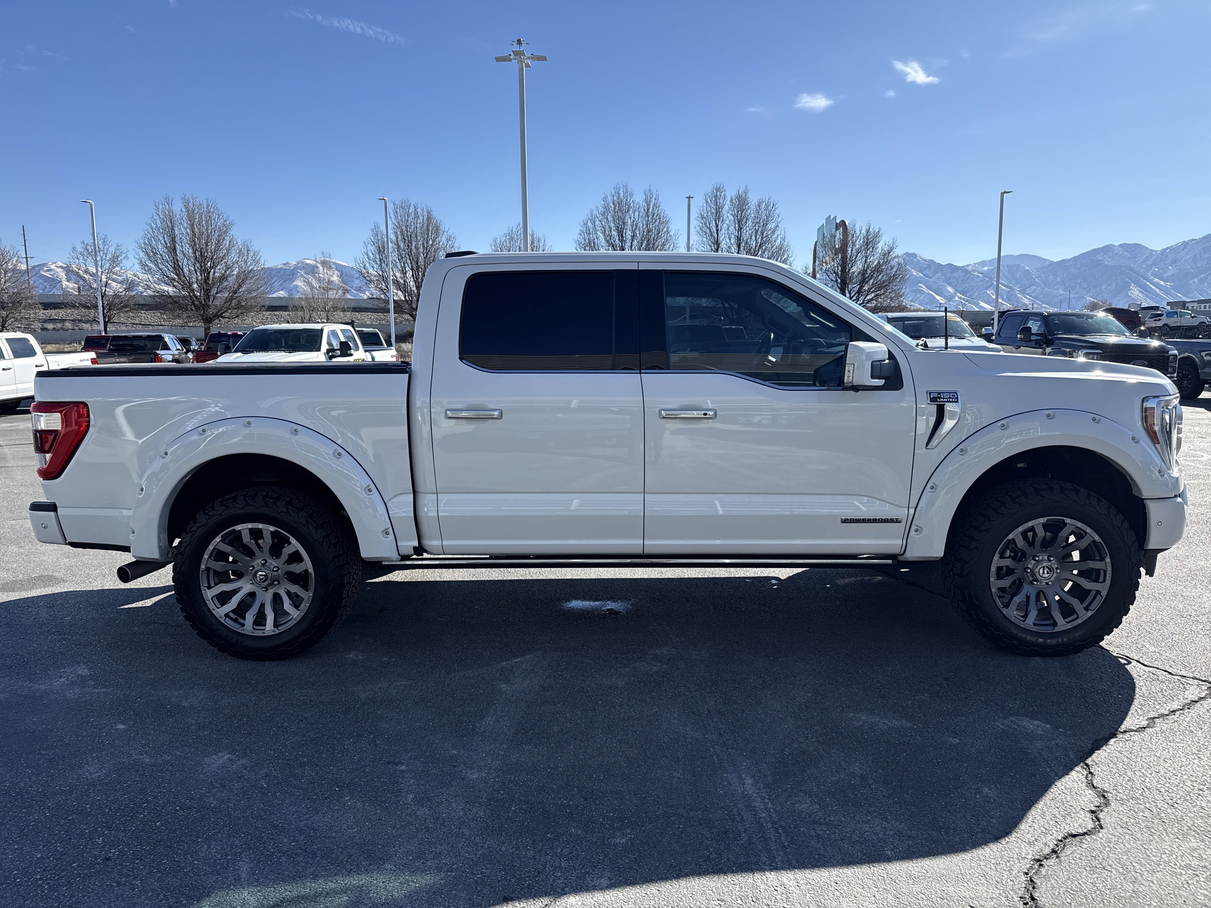 Certified 2023 Ford F150 Limited image 6