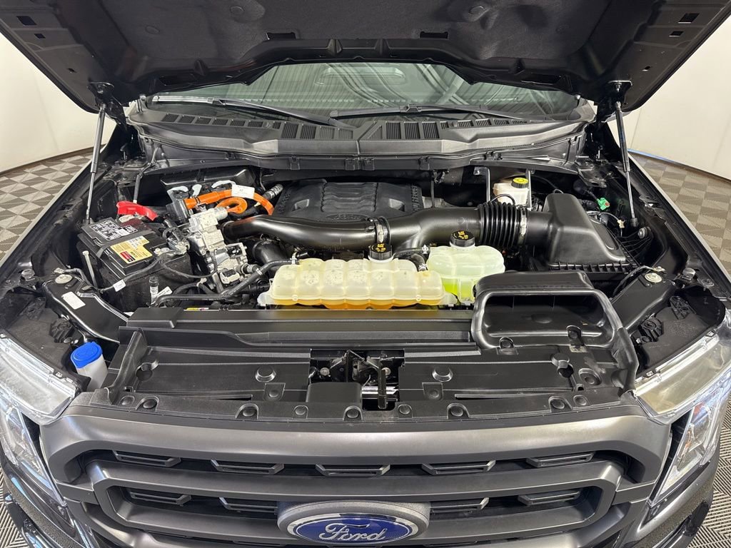 Certified 2023 Ford F150 XLT w/ Equipment Group 302A High AWD/4WD image 10