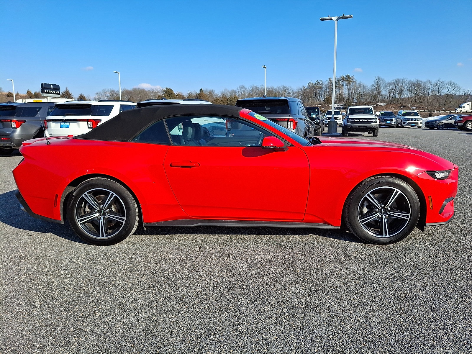 Certified 2025 Ford Mustang Premium image 5