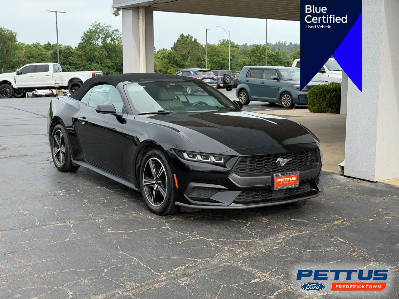Certified 2024 Ford Mustang Premium