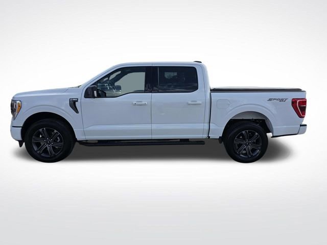 Certified 2023 Ford F150 XLT w/ Equipment Group 302A High image 3