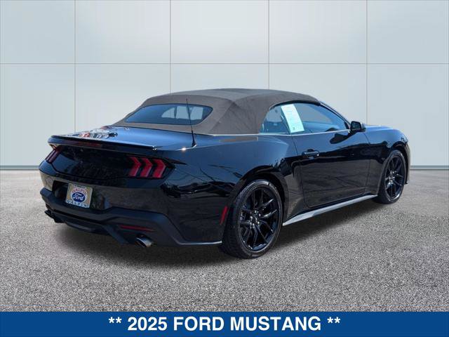 Certified 2025 Ford Mustang Convertible w/ Mustang Nite Pony Package RWD image 5