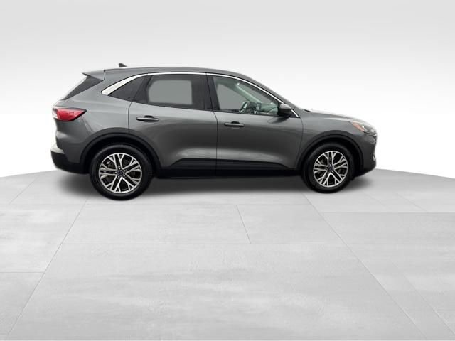 Certified 2022 Ford Escape SEL image 5