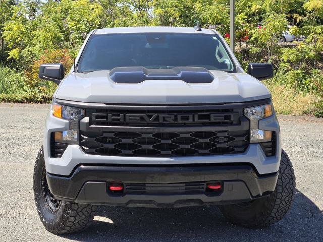 Used 2025 Chevrolet Silverado 1500 Custom Trail Boss w/ LPO, Dark Essentials Package AWD/4WD image 2