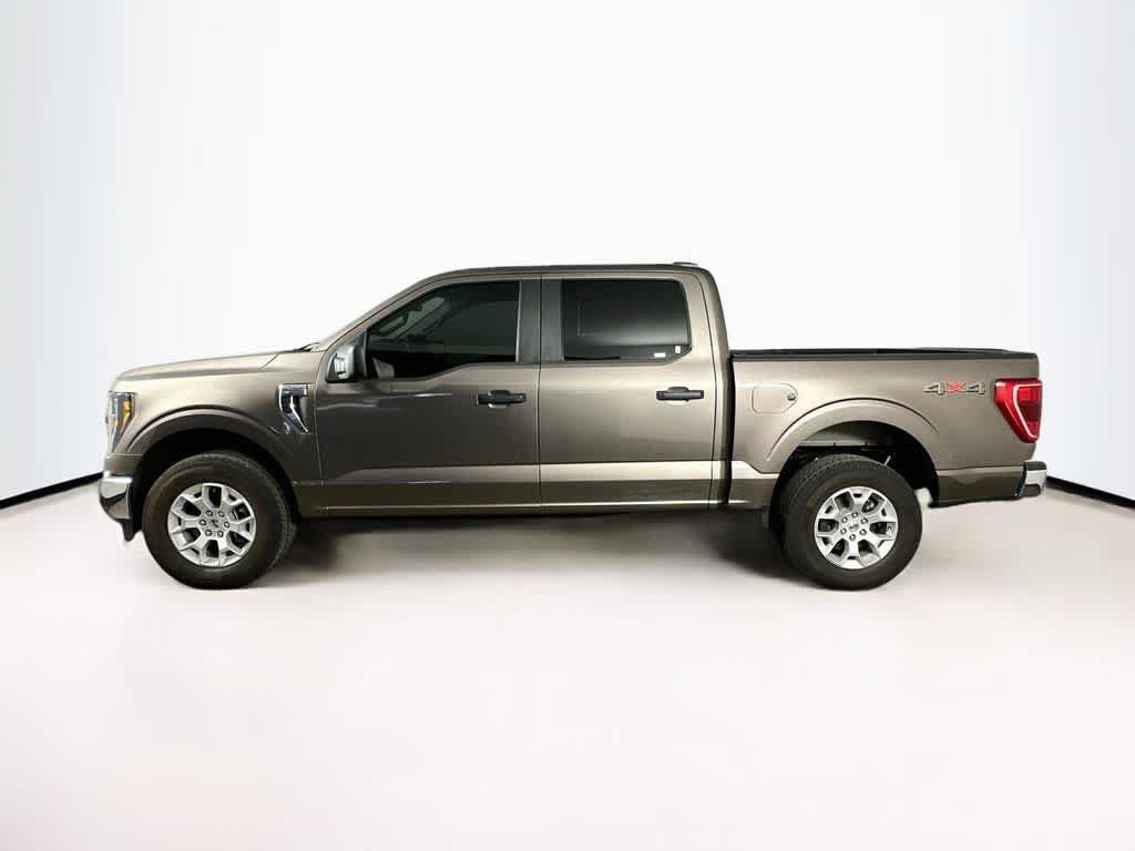 Certified 2023 Ford F150 XLT AWD/4WD image 3