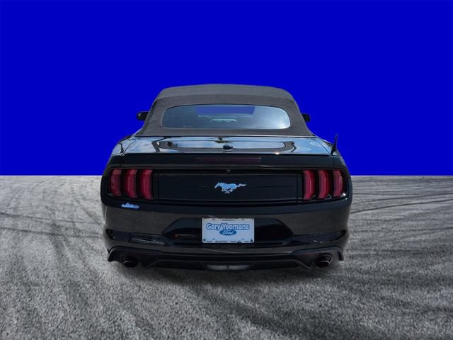Certified 2019 Ford Mustang Premium RWD image 5