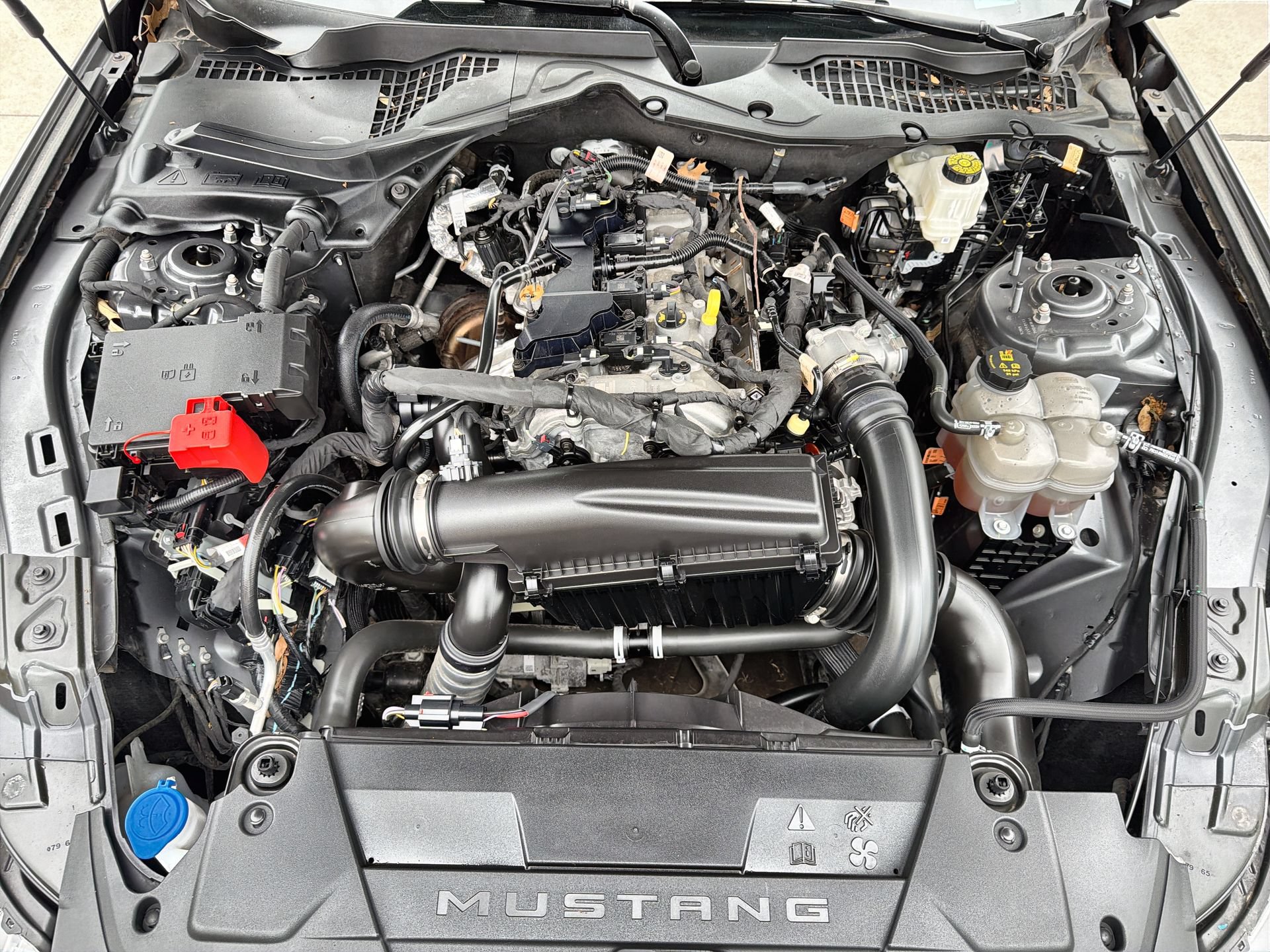 Certified 2024 Ford Mustang Coupe RWD image 24