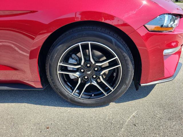 Certified 2023 Ford Mustang Premium w/ Equipment Group 201A RWD image 5