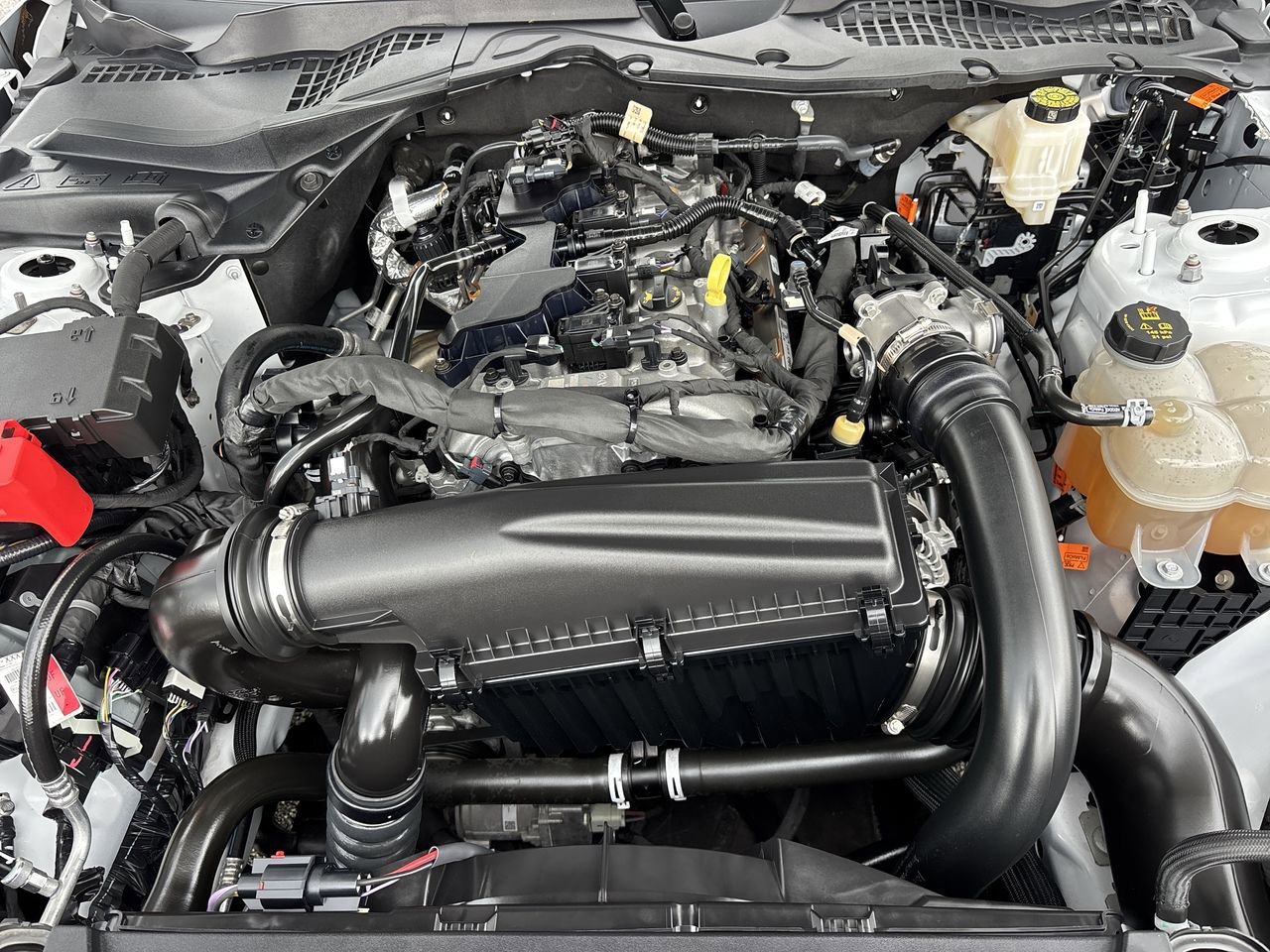 Certified 2024 Ford Mustang Coupe RWD image 10