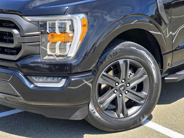 Certified 2023 Ford F150 XLT w/ Equipment Group 302A High RWD image 9