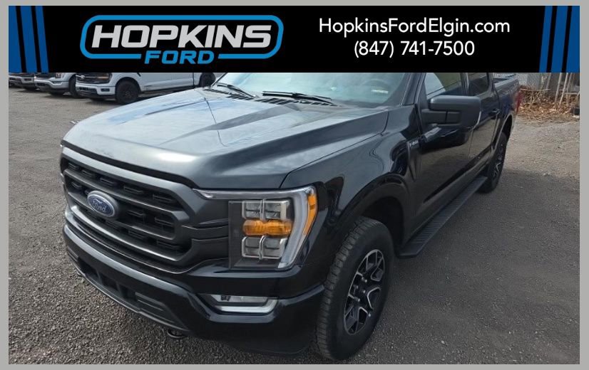 Certified 2023 Ford F150 XLT w/ Equipment Group 302A High