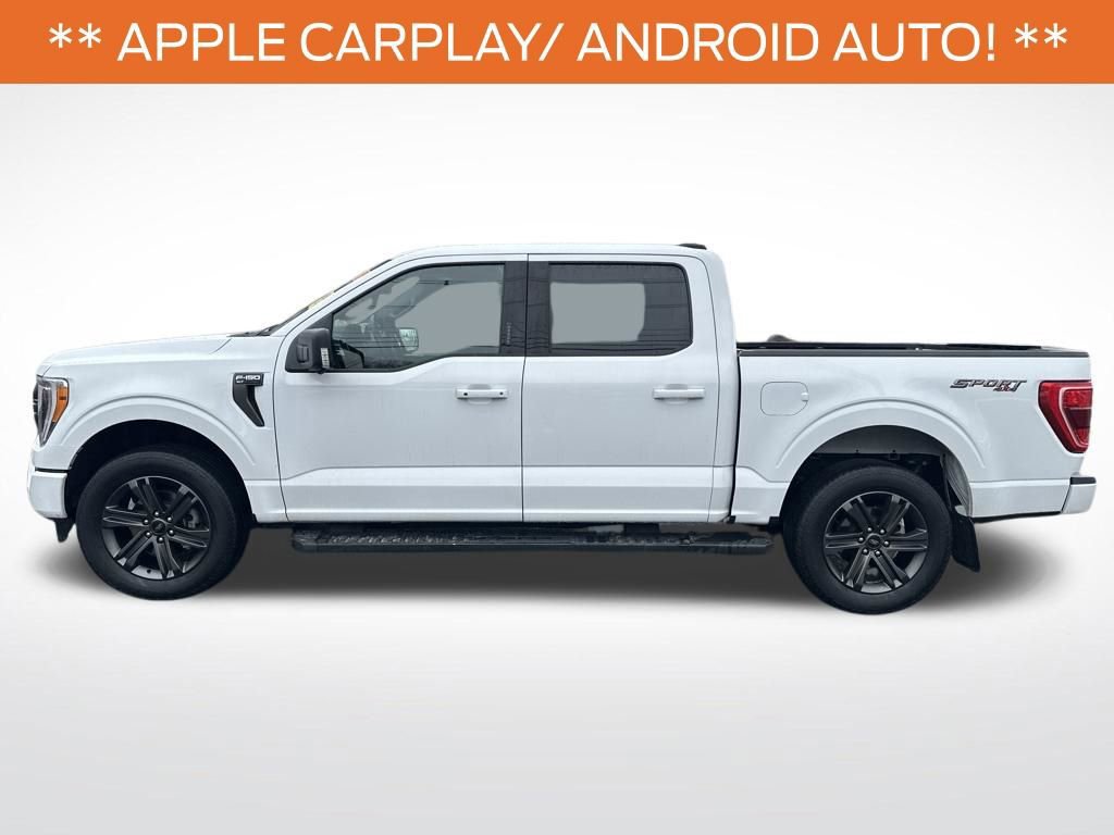 Certified 2023 Ford F150 XLT w/ Equipment Group 302A High image 2