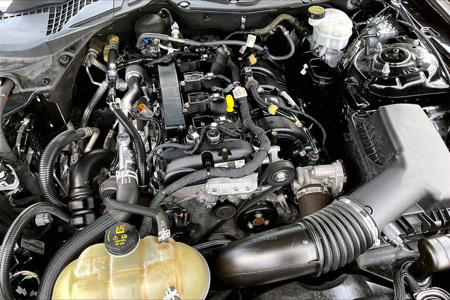 Certified 2023 Ford Mustang Coupe w/ Equipment Group 101A RWD image 33