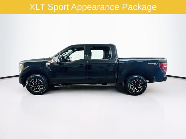 Certified 2023 Ford F150 XLT w/ Equipment Group 302A High AWD/4WD image 5