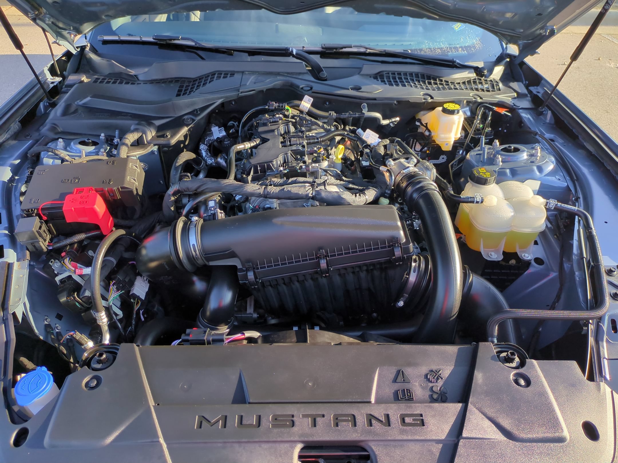 Certified 2025 Ford Mustang Premium RWD image 36