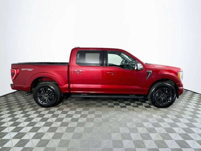 Certified 2021 Ford F150 XLT w/ Equipment Group 302A High AWD/4WD image 8