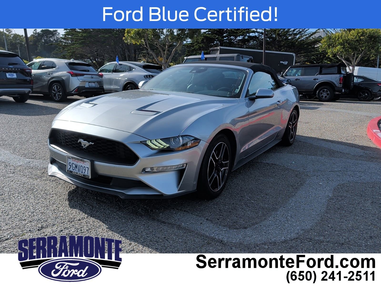 Certified 2021 Ford Mustang Premium image 3