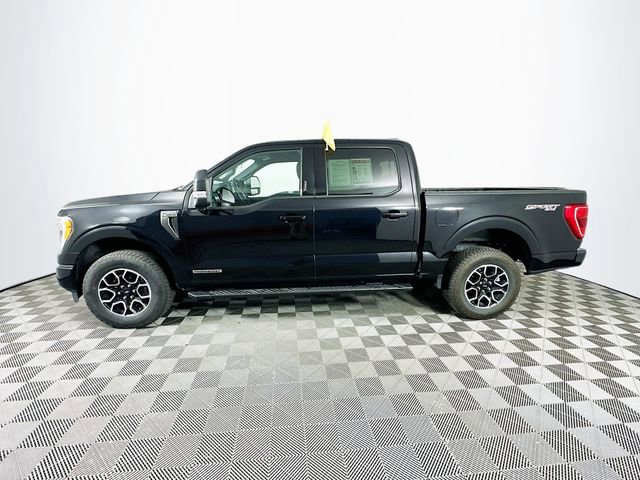 Certified 2023 Ford F150 XLT w/ Equipment Group 302A High image 2