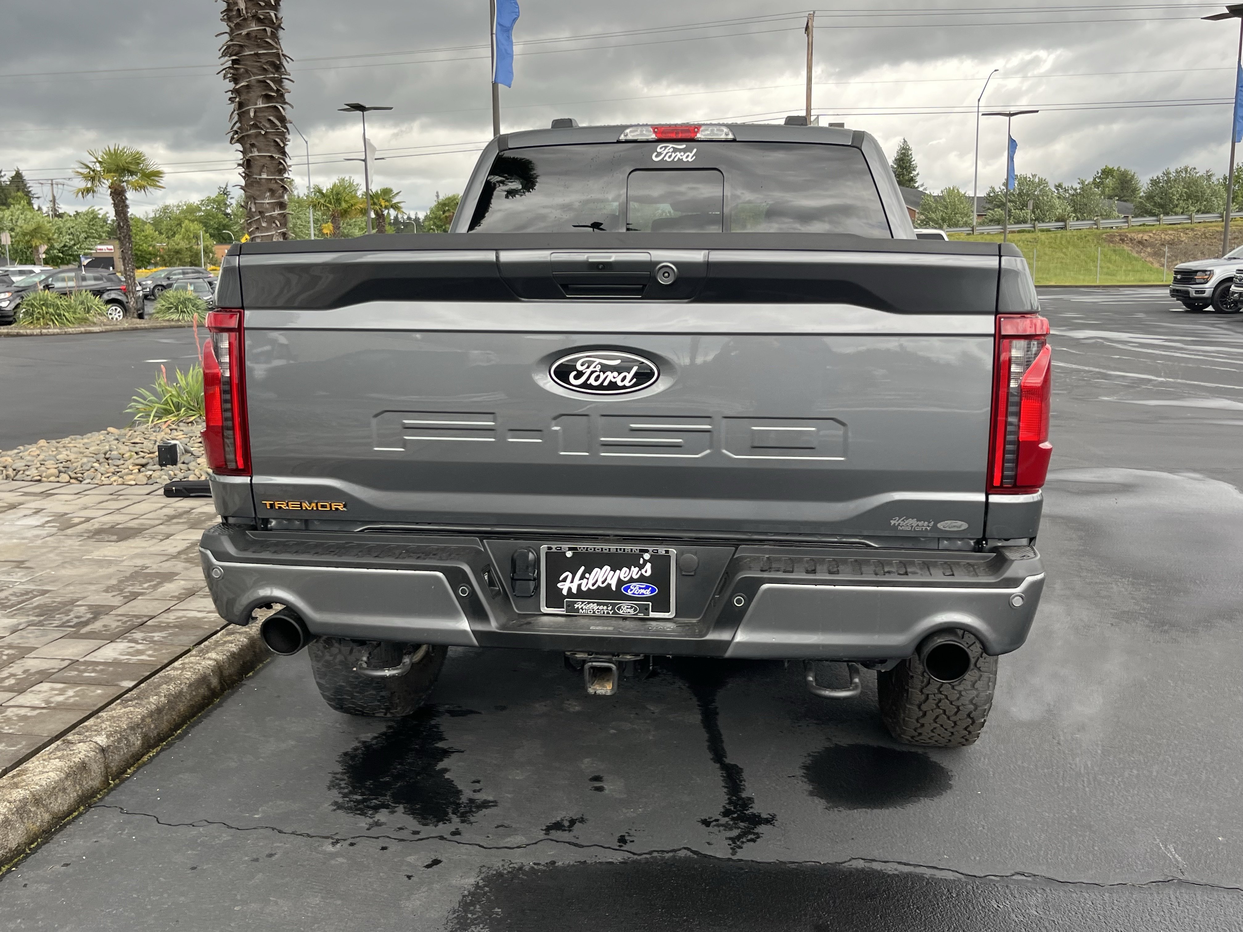 Certified 2025 Ford F150 Tremor w/ Tow/Haul Package AWD/4WD image 4