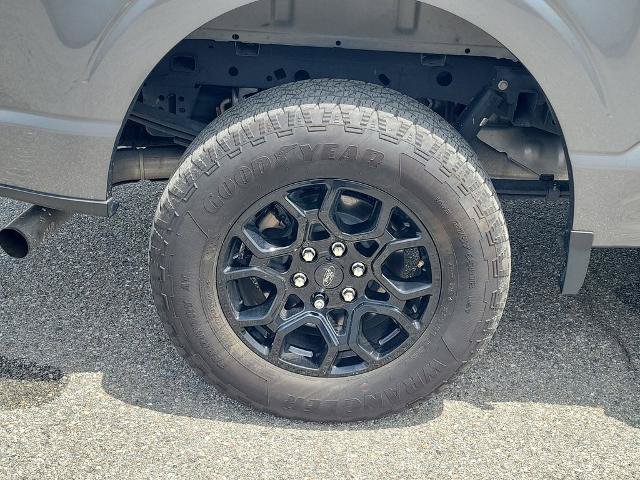 Certified 2024 Ford F150 XLT w/ Equipment Group 302A MID AWD/4WD image 6