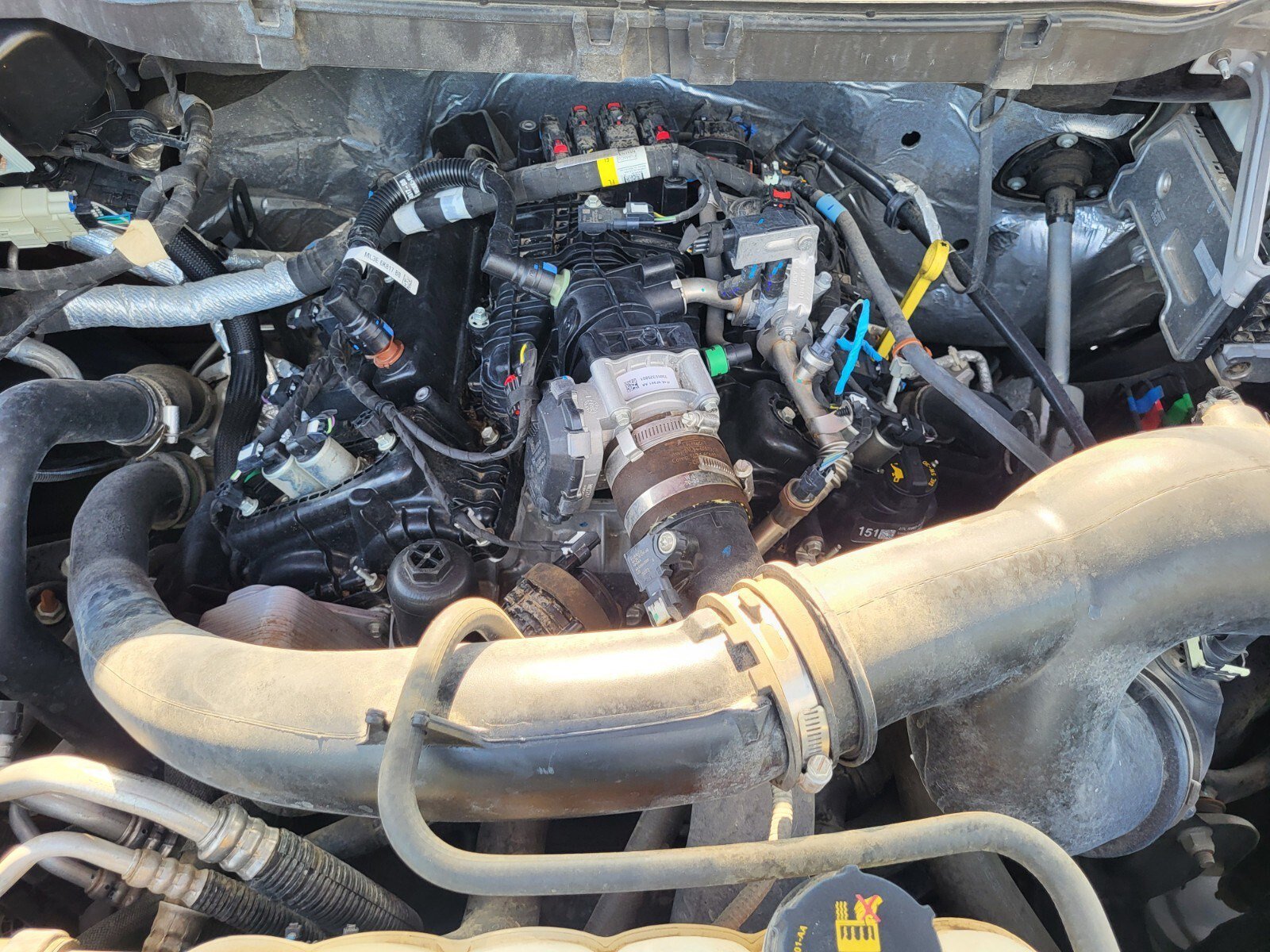Certified 2023 Ford F150 XL w/ STX Appearance Package RWD image 33