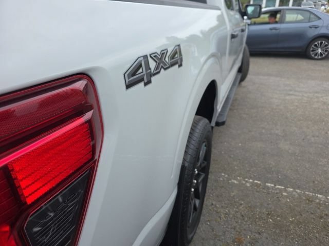 Certified 2024 Ford F150 STX w/ STX Black Appearance Package AWD/4WD image 5