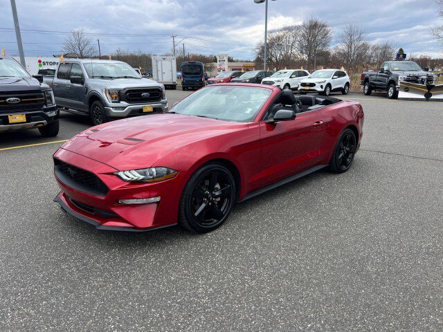 Certified 2023 Ford Mustang Premium w/ Equipment Group 201A RWD image 30
