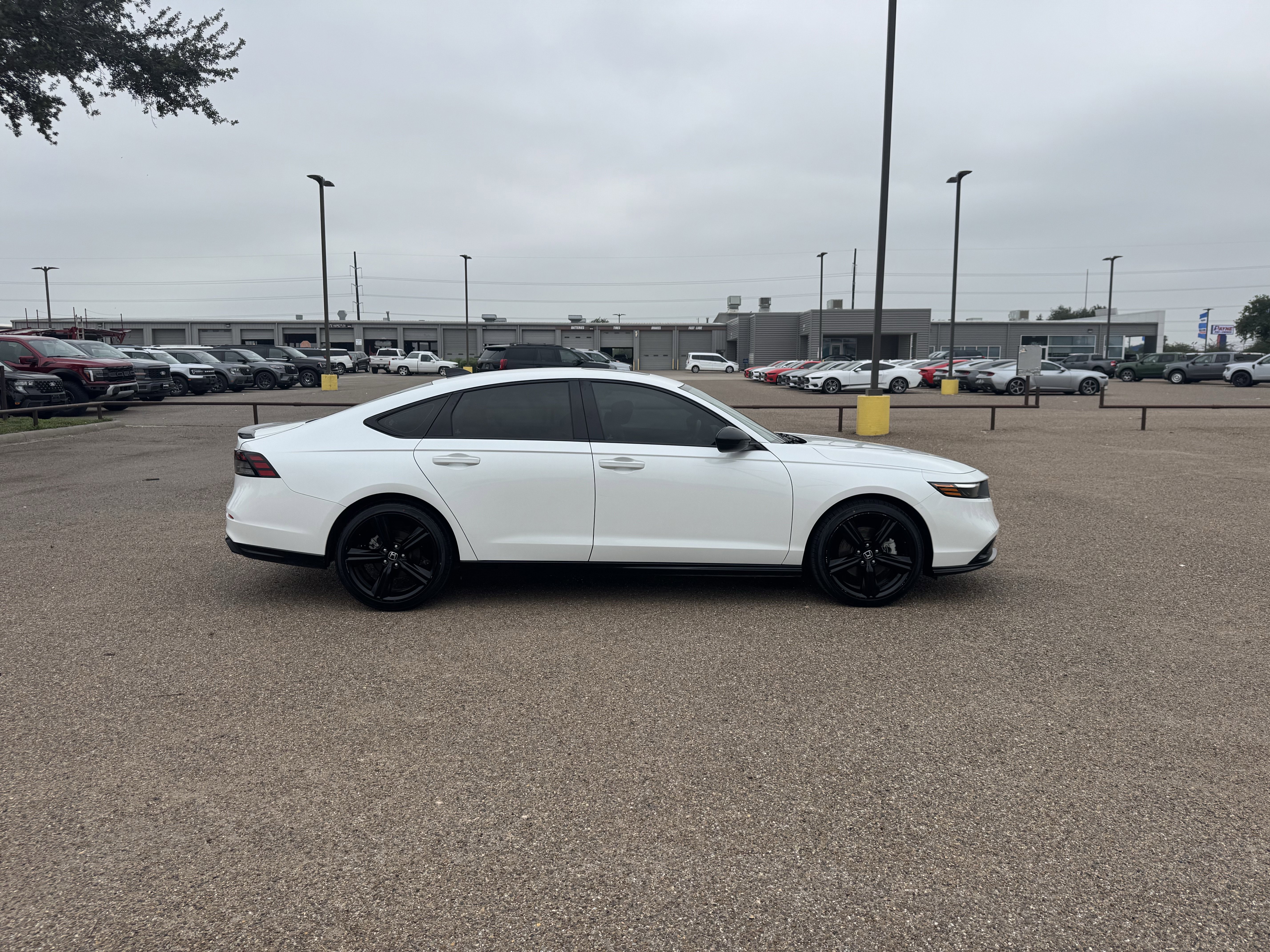 Used 2024 Honda Accord Sport image 4