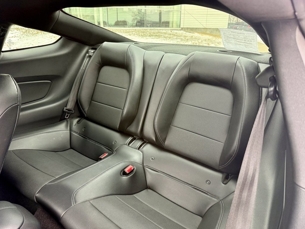 Certified 2019 Ford Mustang GT Premium w/ Black Accent Package image 10