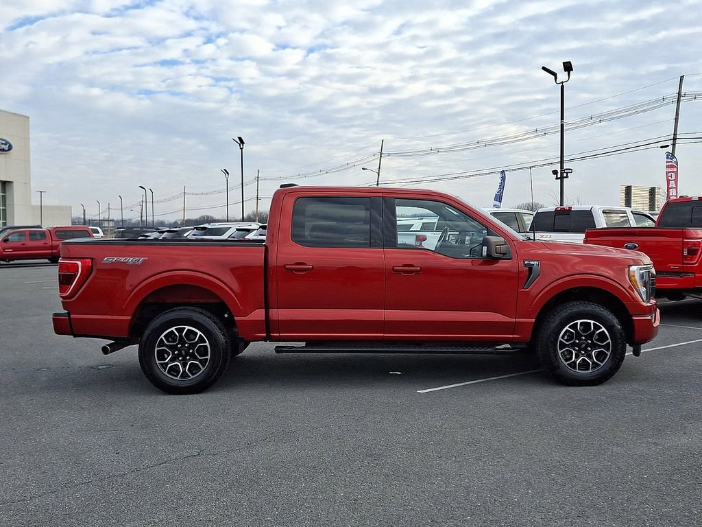 Certified 2023 Ford F150 XLT w/ Equipment Group 302A High image 5