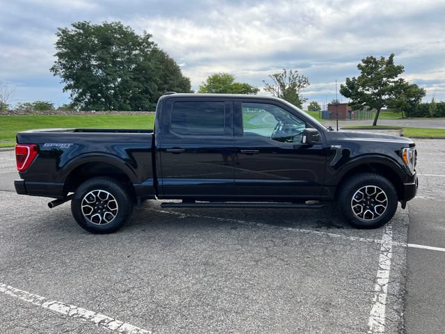 Certified 2023 Ford F150 XLT w/ Equipment Group 302A High AWD/4WD image 12