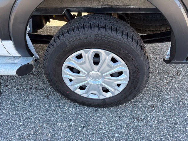 Certified 2025 Ford Transit 250 Low Roof w/ Exterior Upgrade Package RWD image 12