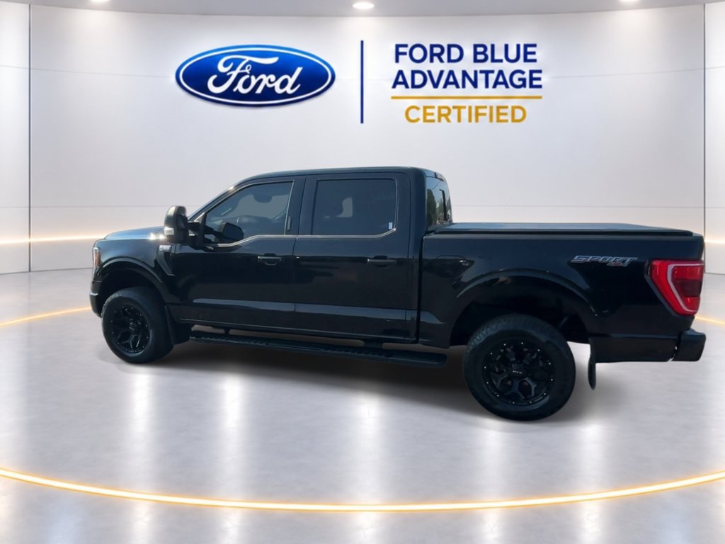 Certified 2023 Ford F150 XLT w/ Equipment Group 302A High AWD/4WD image 7
