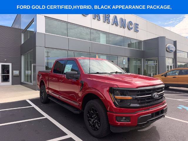 Certified 2024 Ford F150 XLT w/ Equipment Group 302A MID AWD/4WD image 2