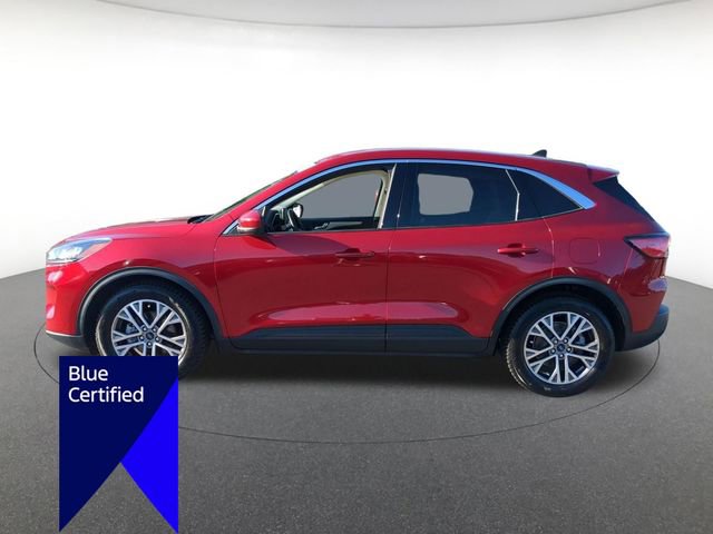 Certified 2022 Ford Escape SEL w/ Technology Package FWD image 6