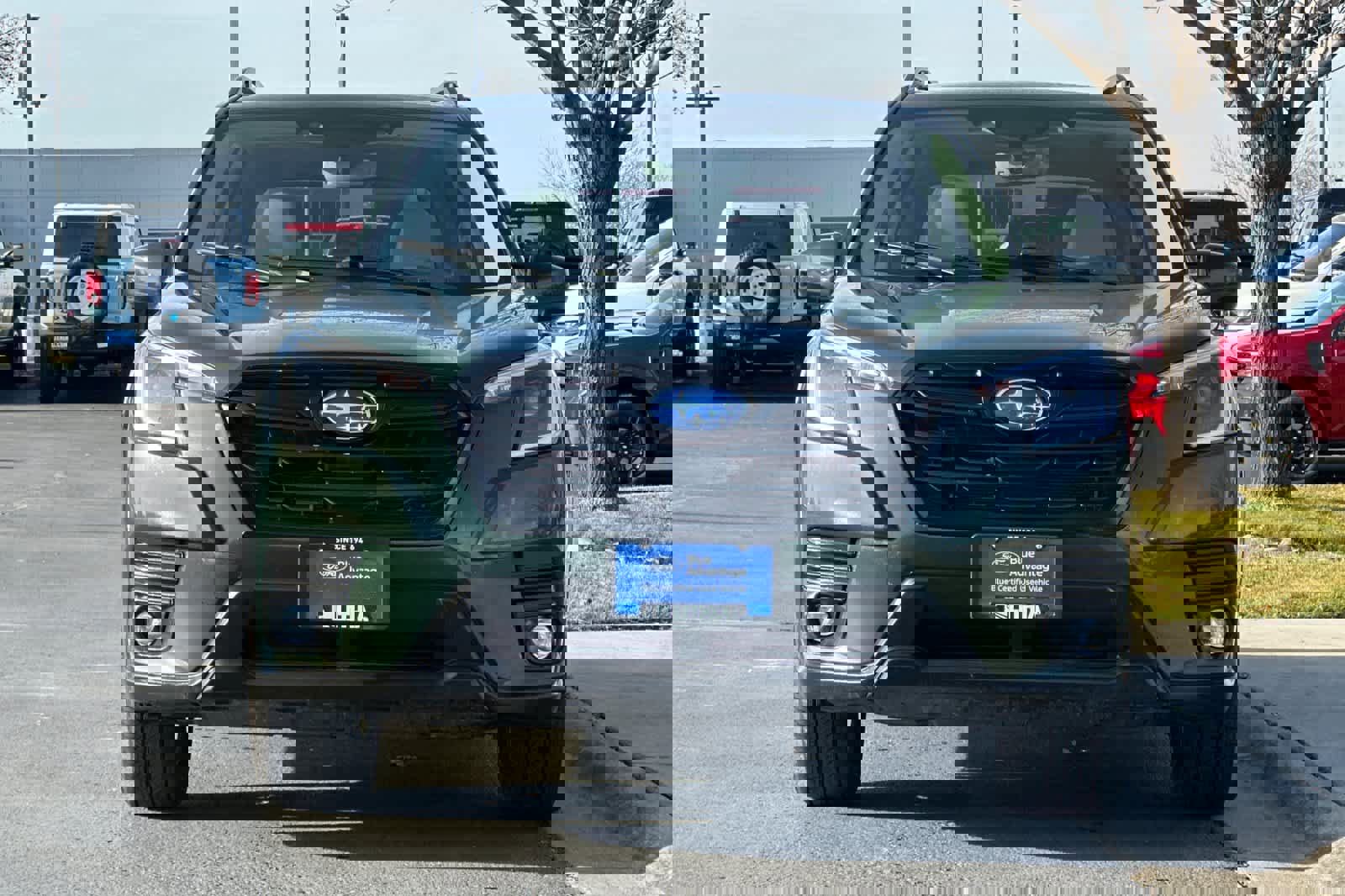 Used 2024 Subaru Forester Premium image 8