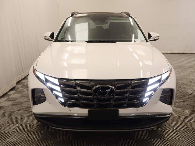 Used 2024 Hyundai Tucson Limited AWD/4WD image 2