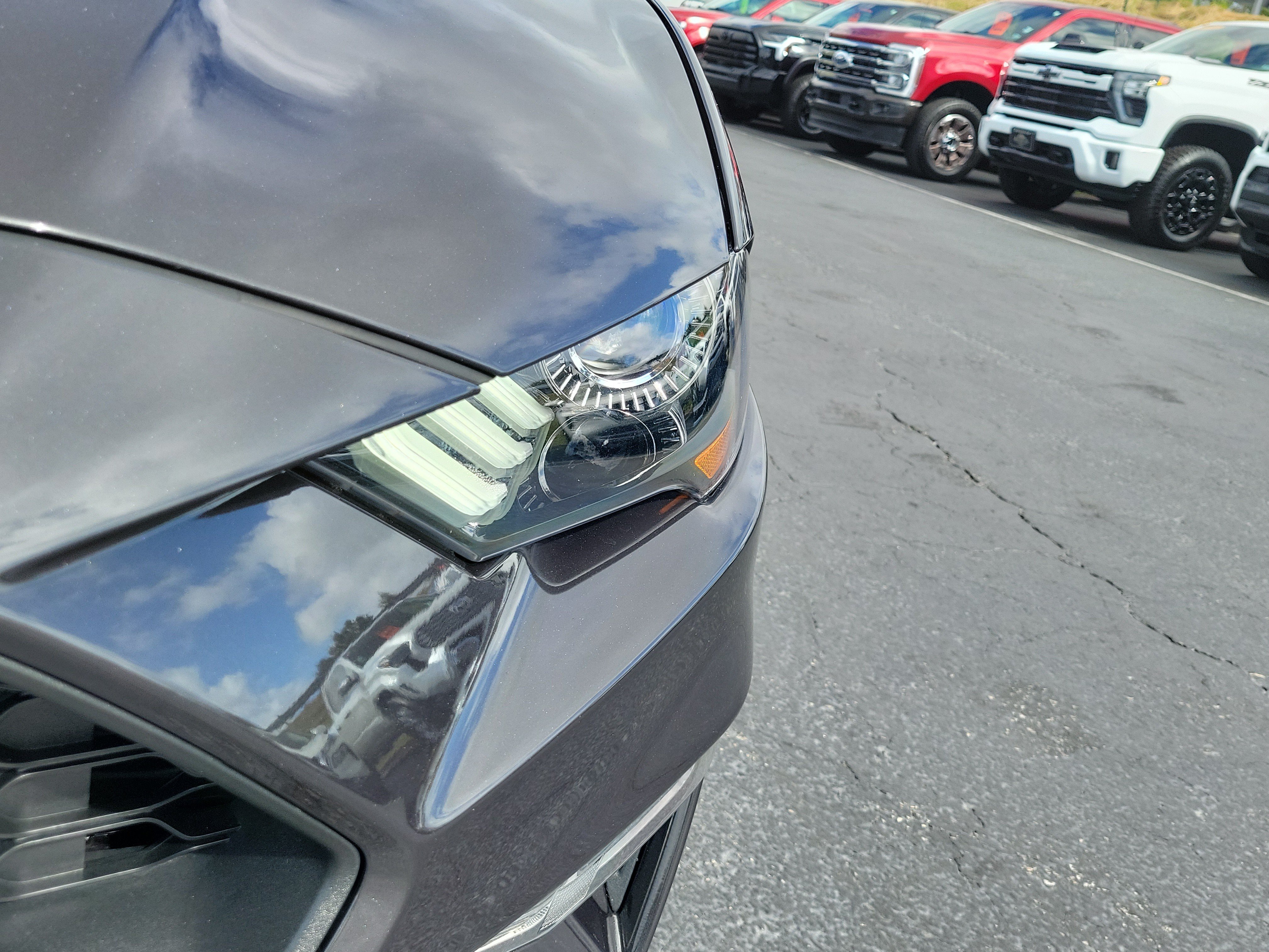 Certified 2023 Ford Mustang Premium w/ Equipment Group 201A RWD image 3