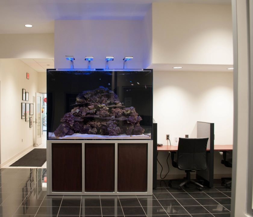 Certified 2025 Ford F150 Tremor w/ Bed Utility Package image 25