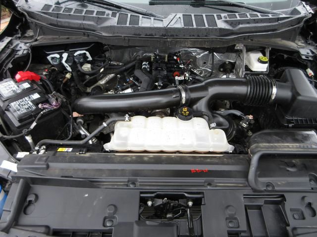 Certified 2025 Ford F150 XLT w/ Equipment Group 301A Standard image 26