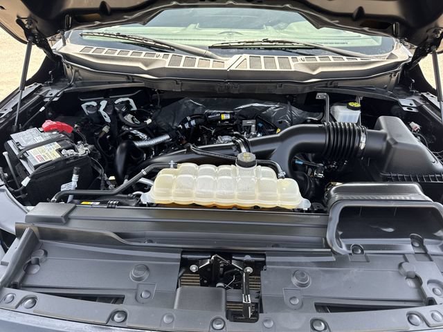 Certified 2023 Ford F150 XL w/ STX Appearance Package RWD image 25