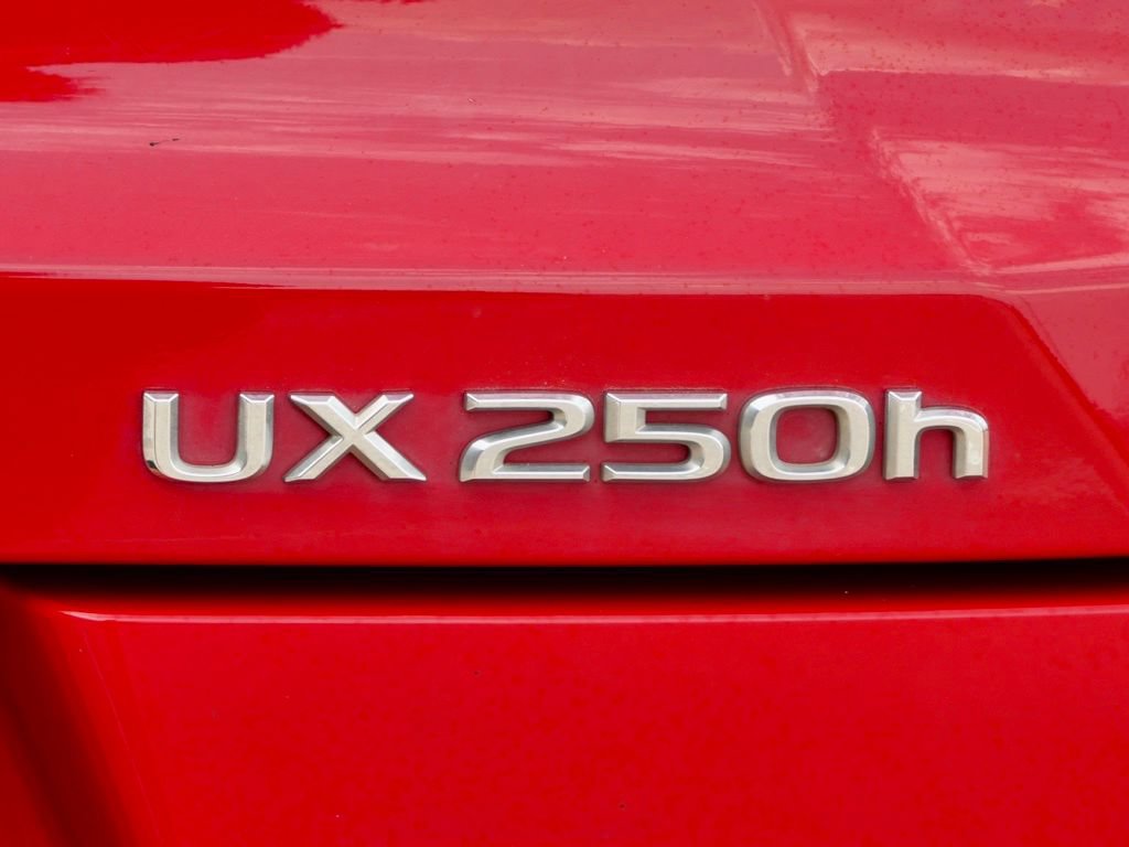 Used 2023 Lexus UX 250h F Sport FWD image 11