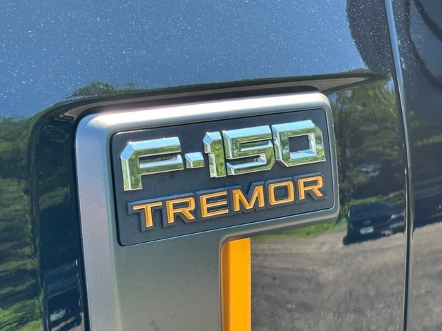 Certified 2025 Ford F150 Tremor w/ Tow/Haul Package AWD/4WD image 13
