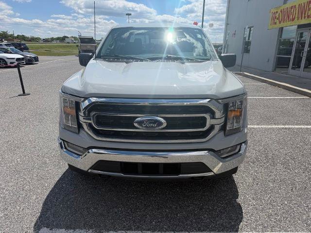 Certified 2023 Ford F150 XLT w/ Equipment Group 302A High AWD/4WD image 3